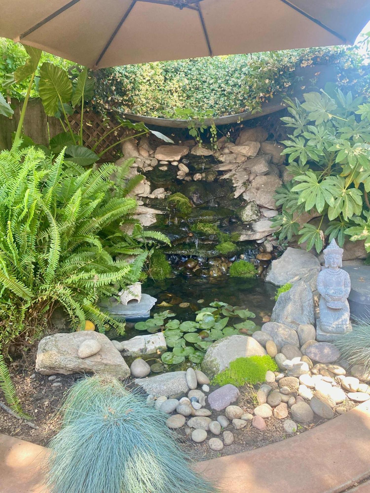 Seq Parks-house With Hot Tub Fire Pit Koi Pond Outdoor Kitchen * Visalia